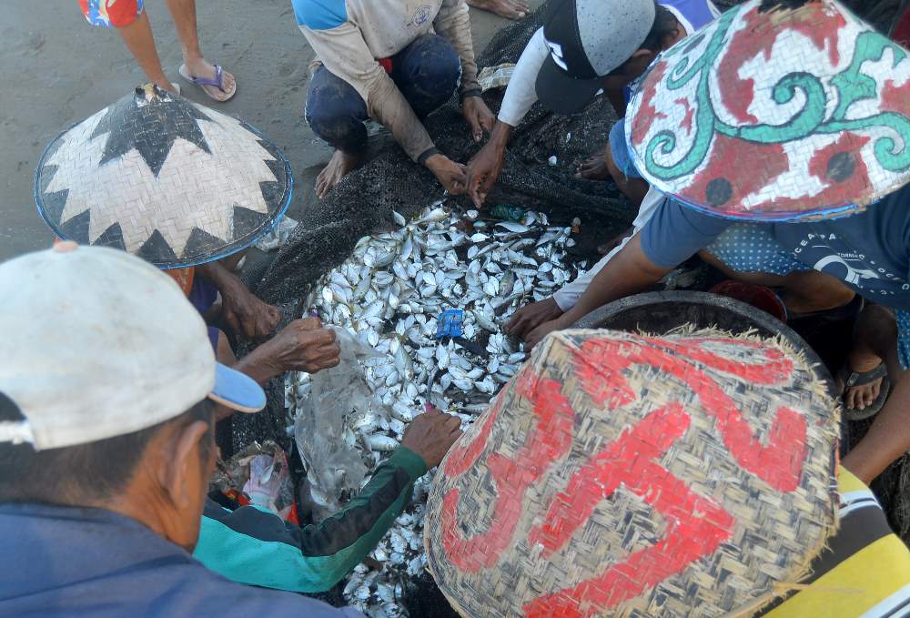 Hasil Perikanan Tangkap Meningkat