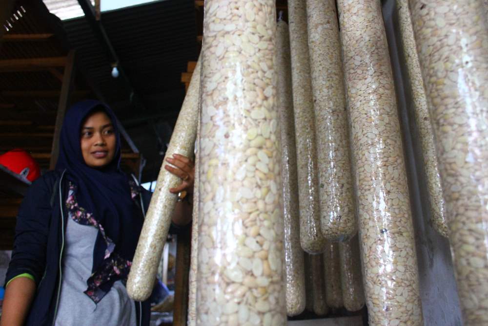 Dampak Kenaikan Harga Kedelai Impor 