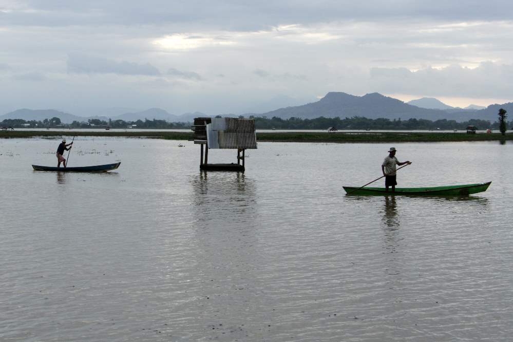 Mencarii Ikan di Persawahan Yang Terendam Banjir