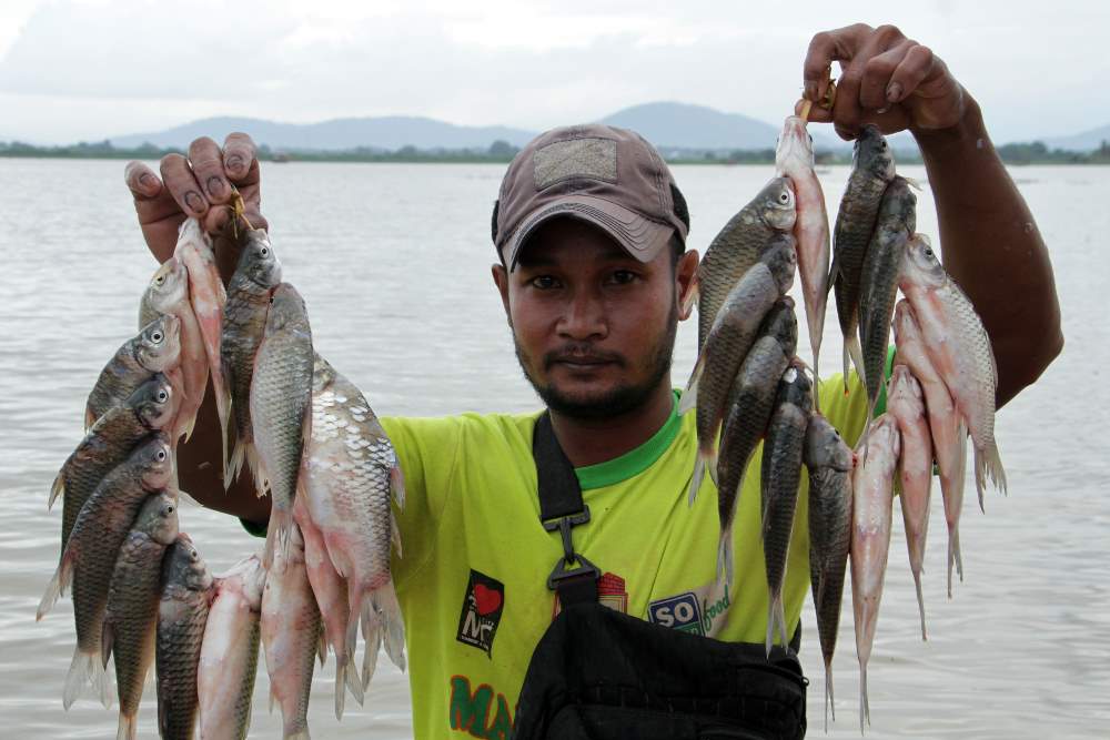 Mencarii Ikan di Persawahan Yang Terendam Banjir