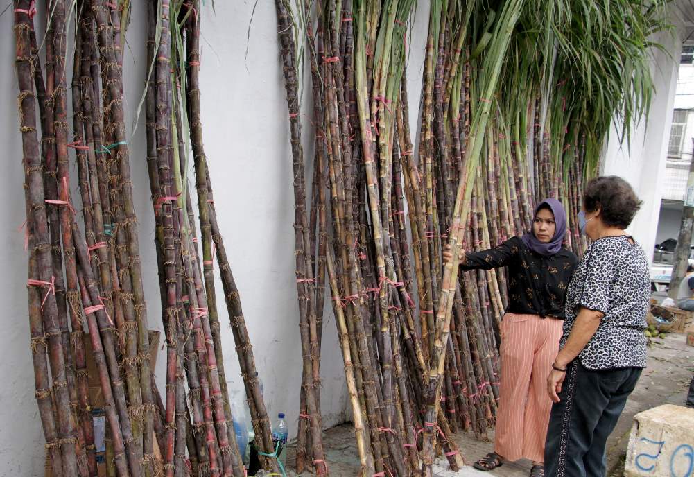 Pedagang Tebu Musiman