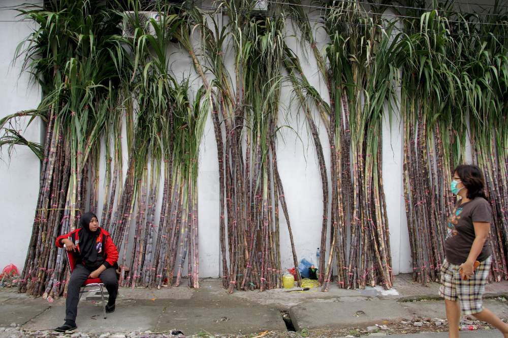 Pedagang Tebu Musiman