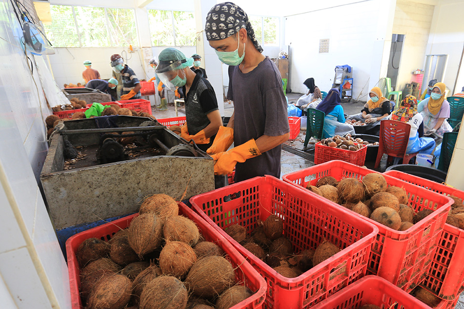 Industri Minyak Kelapa Murni 