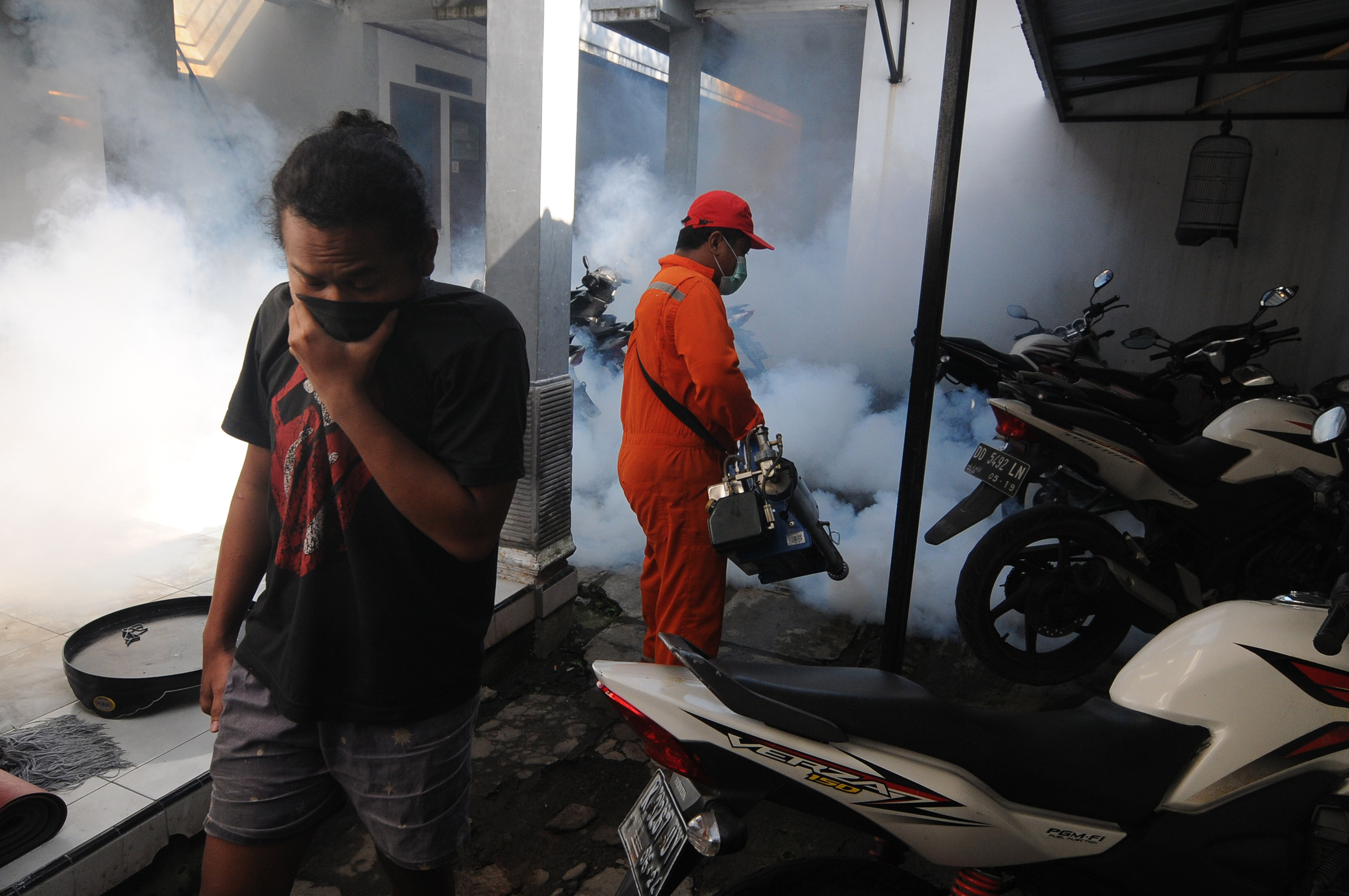 Pencegahan Penyebaran DBD dan Chikungunya