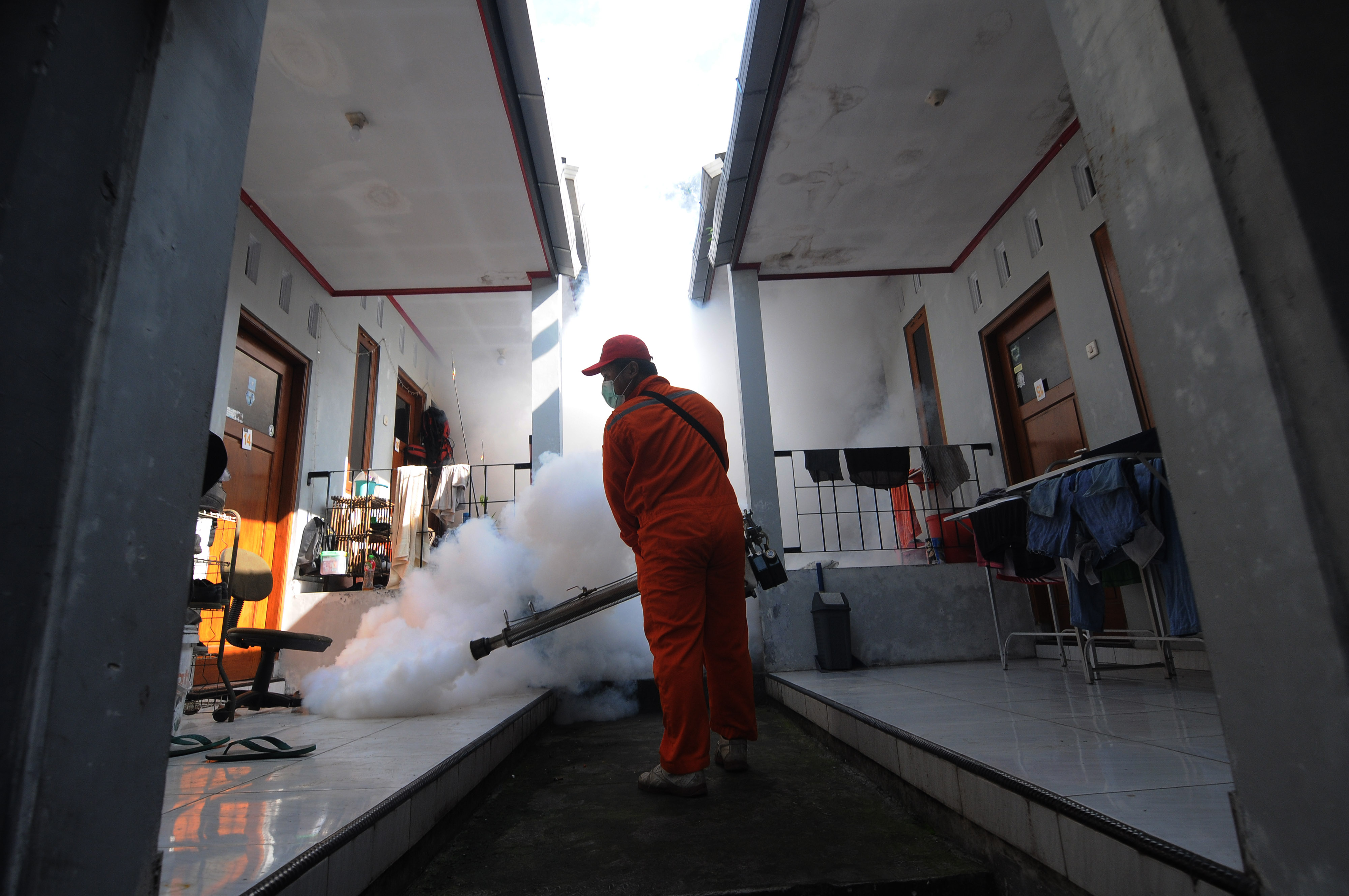 Pencegahan Penyebaran DBD dan Chikungunya
