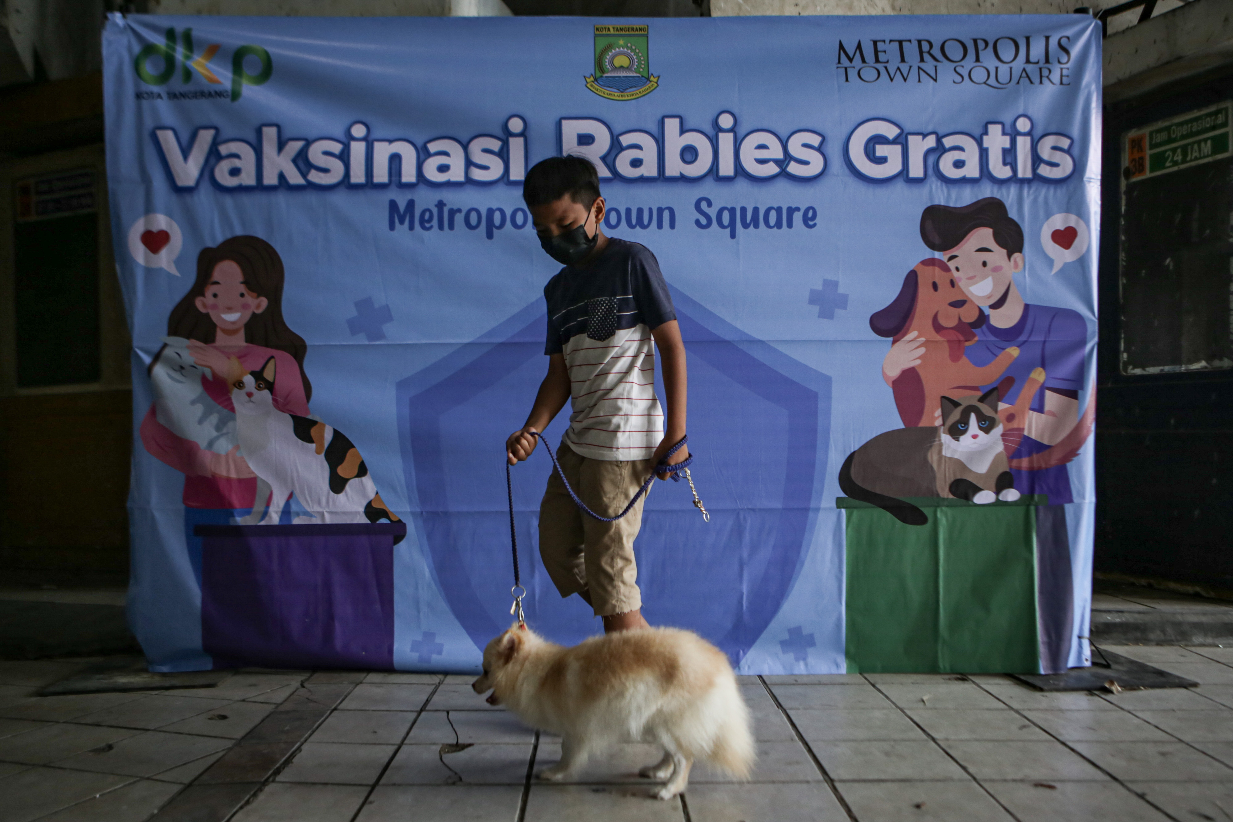 Vaksinasi Rabies Gratis