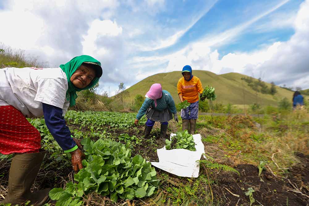 Padang Savana Kawah Wurung