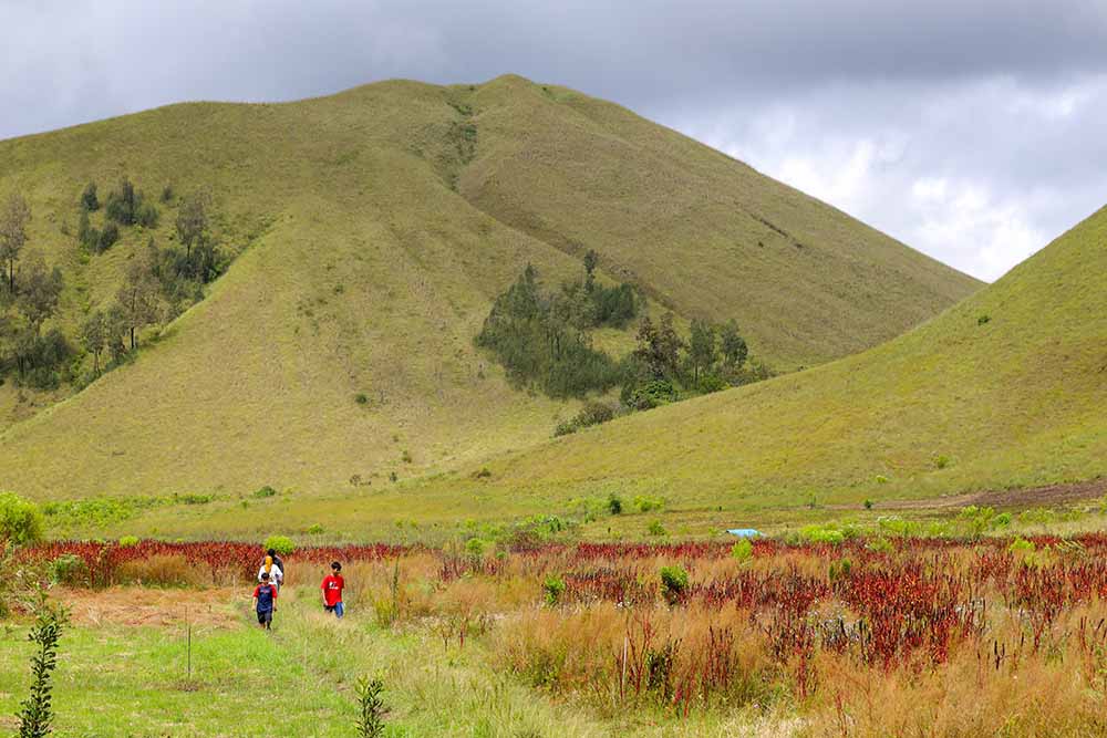 Padang Savana Kawah Wurung