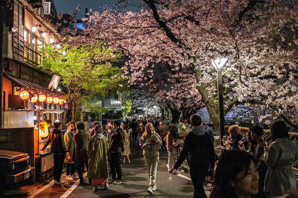 Bunga Sakura Bermekaran di Tokyo