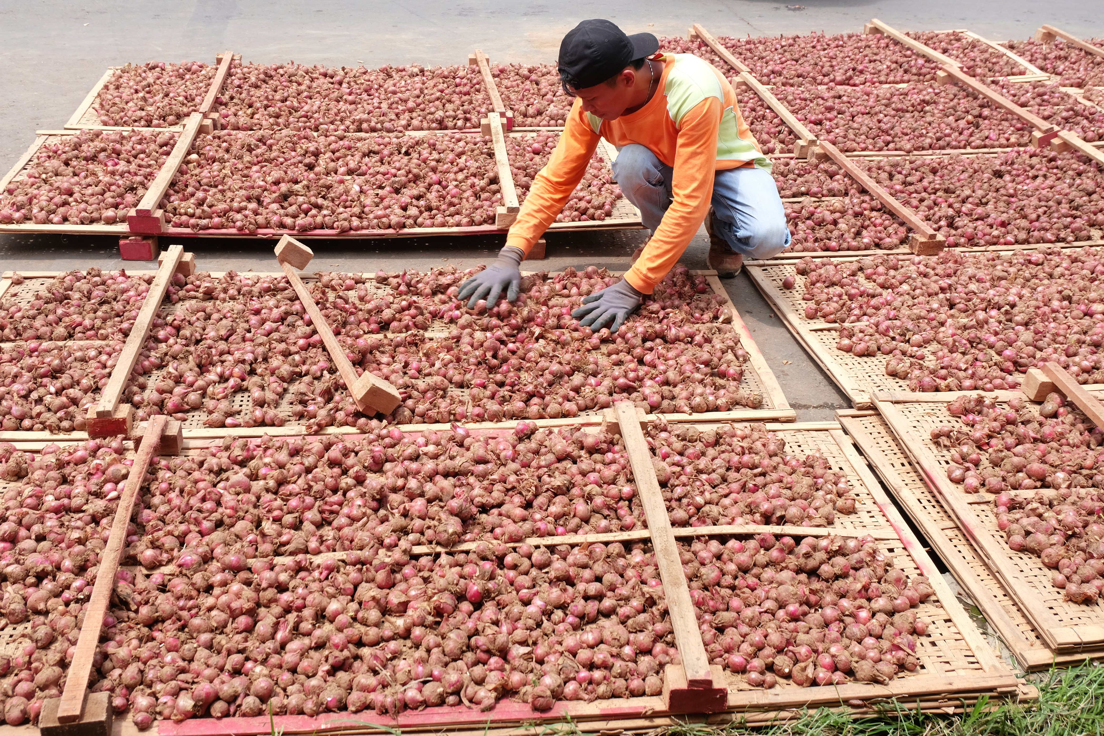 Keluhkan Bawang Merah Impor