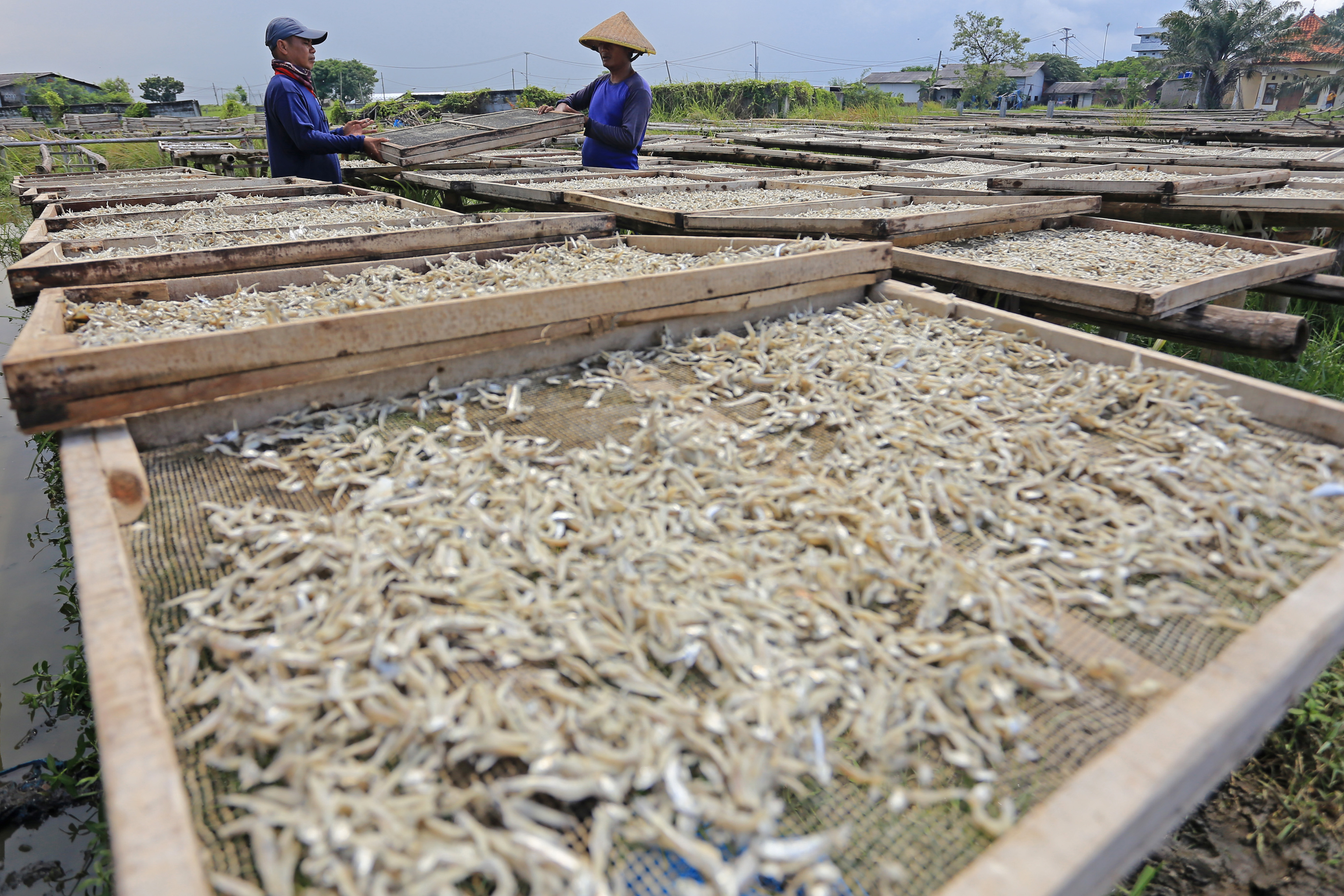 Pemerintah Tambah Subsidi Bunga KUR