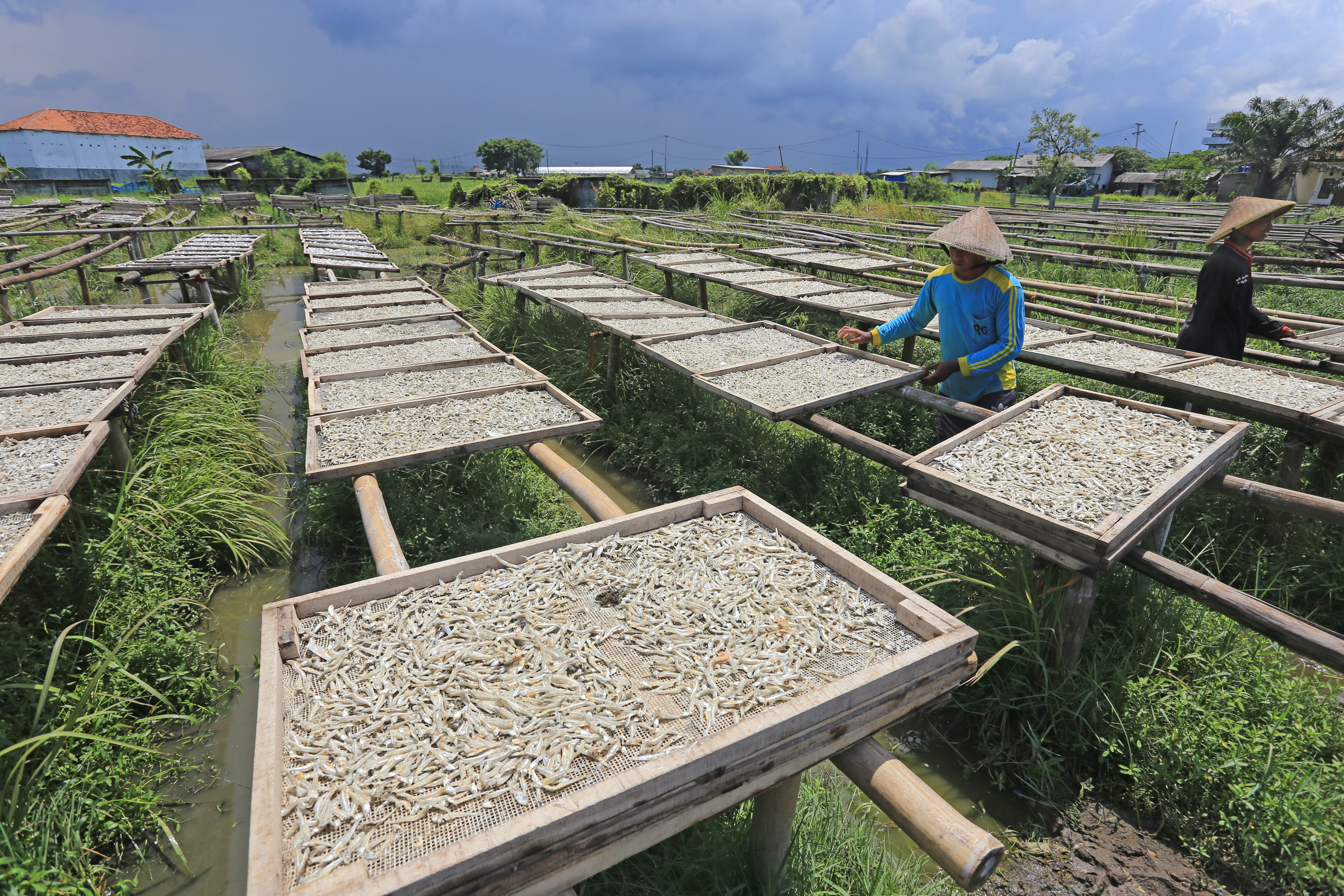 Pemerintah Tambah Subsidi Bunga KUR