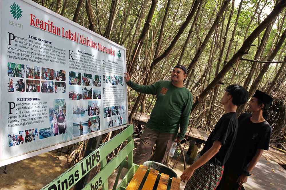 Pemanfaatan Hutan Mangrove Dengan Budi Daya Ikan