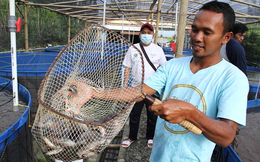 Pemanfaatan Hutan Mangrove Dengan Budi Daya Ikan