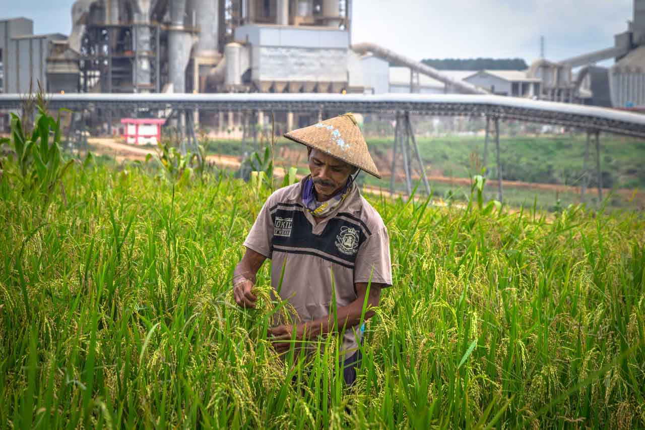 Pemberdayaan Pertanian di Sekitar Pabrik SIG