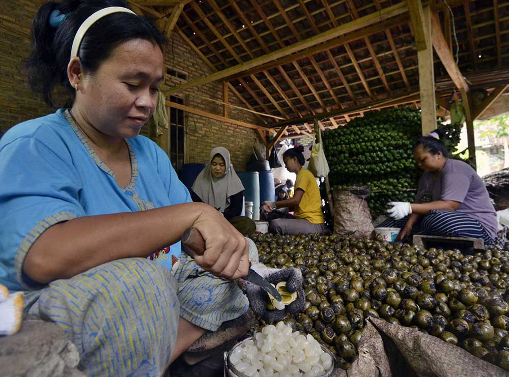 Permintaan Kolang Kaling Meningkat