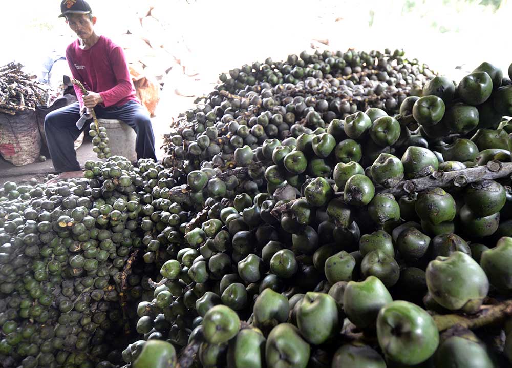 Permintaan Kolang Kaling Meningkat