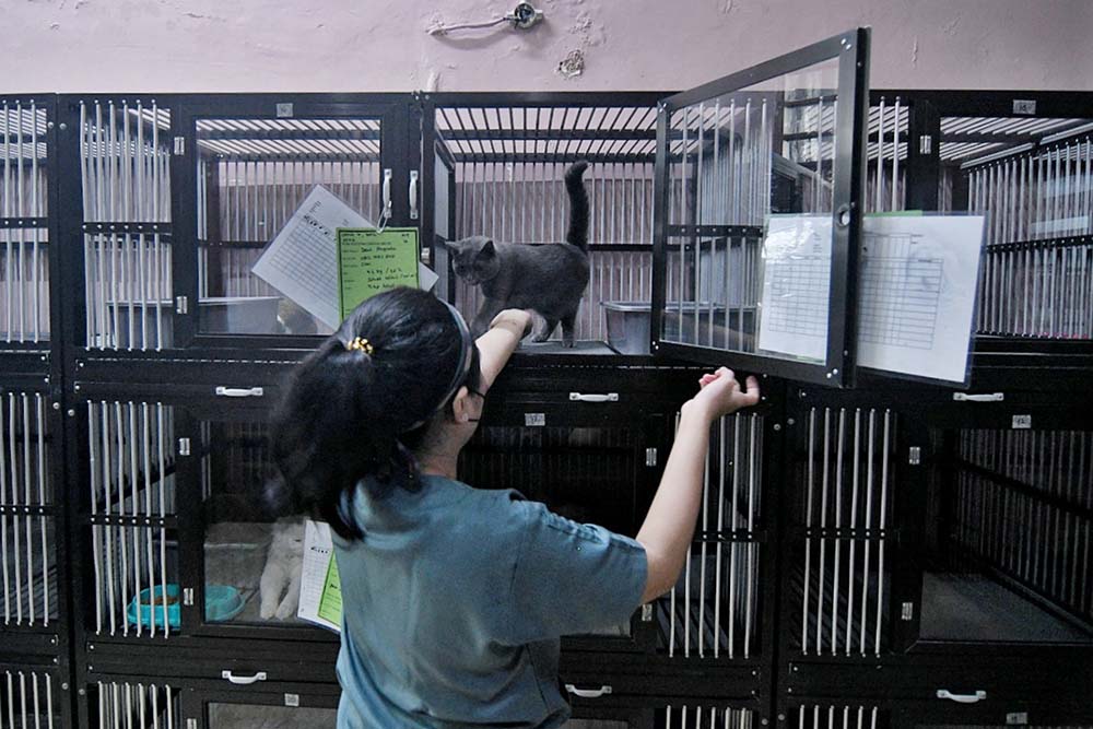 Tempat Penitipan Hewan Ramai Menjelang Lebaran