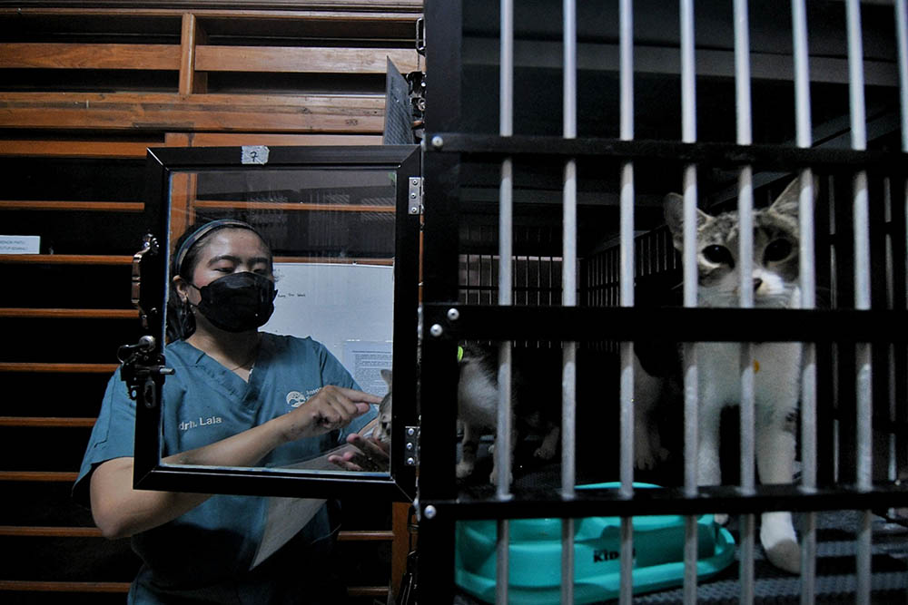 Tempat Penitipan Hewan Ramai Menjelang Lebaran