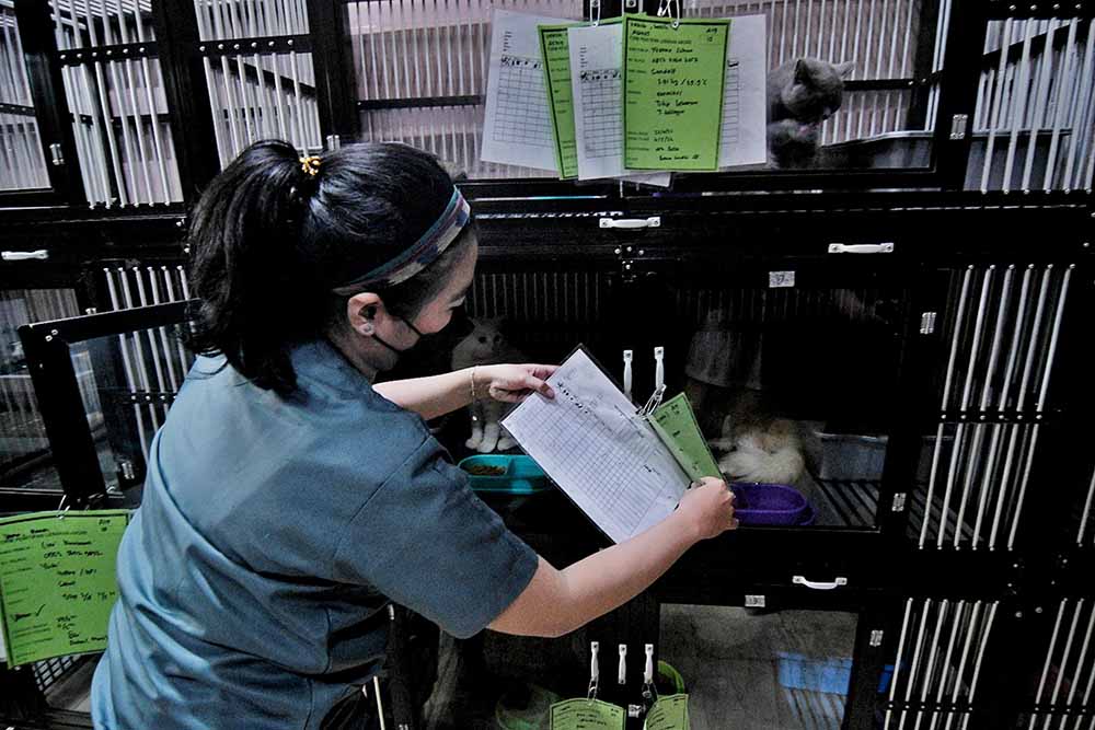 Tempat Penitipan Hewan Ramai Menjelang Lebaran