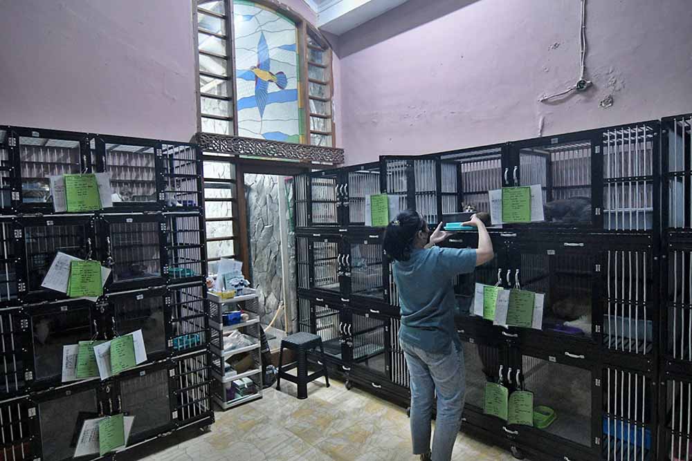 Tempat Penitipan Hewan Ramai Menjelang Lebaran