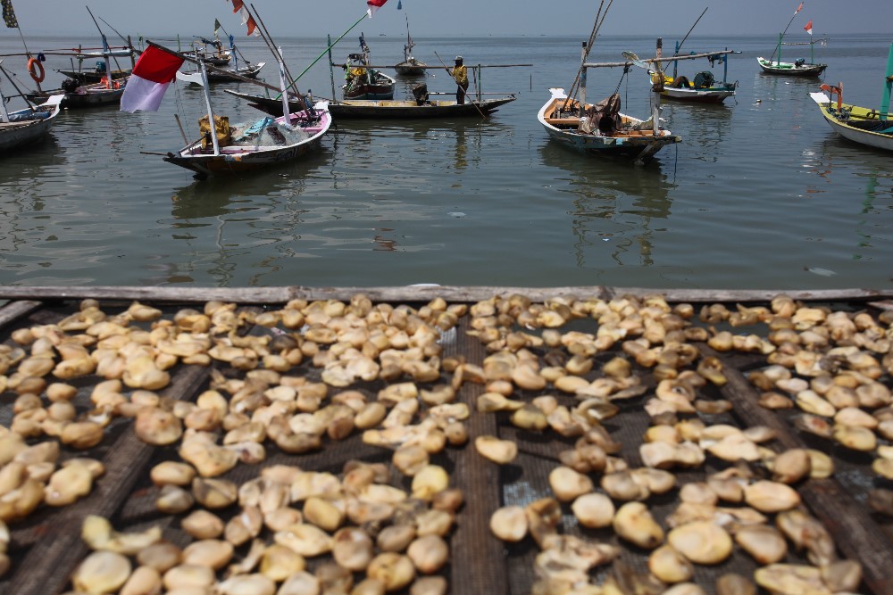 Nelayan Tidak Melaut pada Hari Pertama Puasa Ramadan