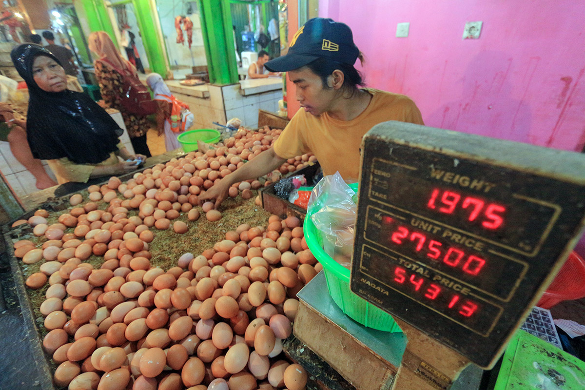 Harga Telur Ayam Naik