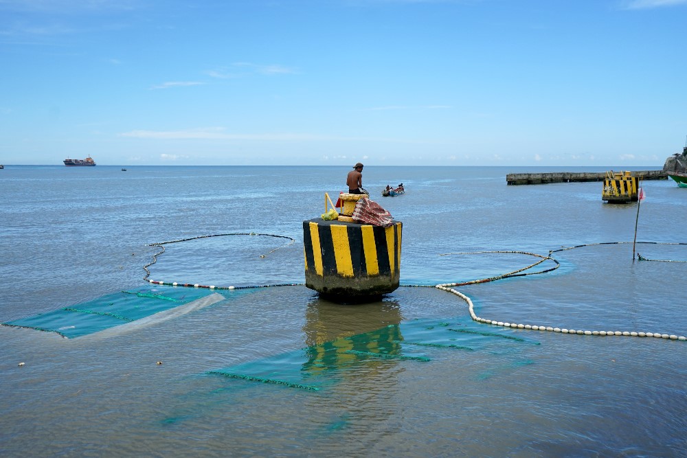 Musim Ikan Nike di Gorontalo