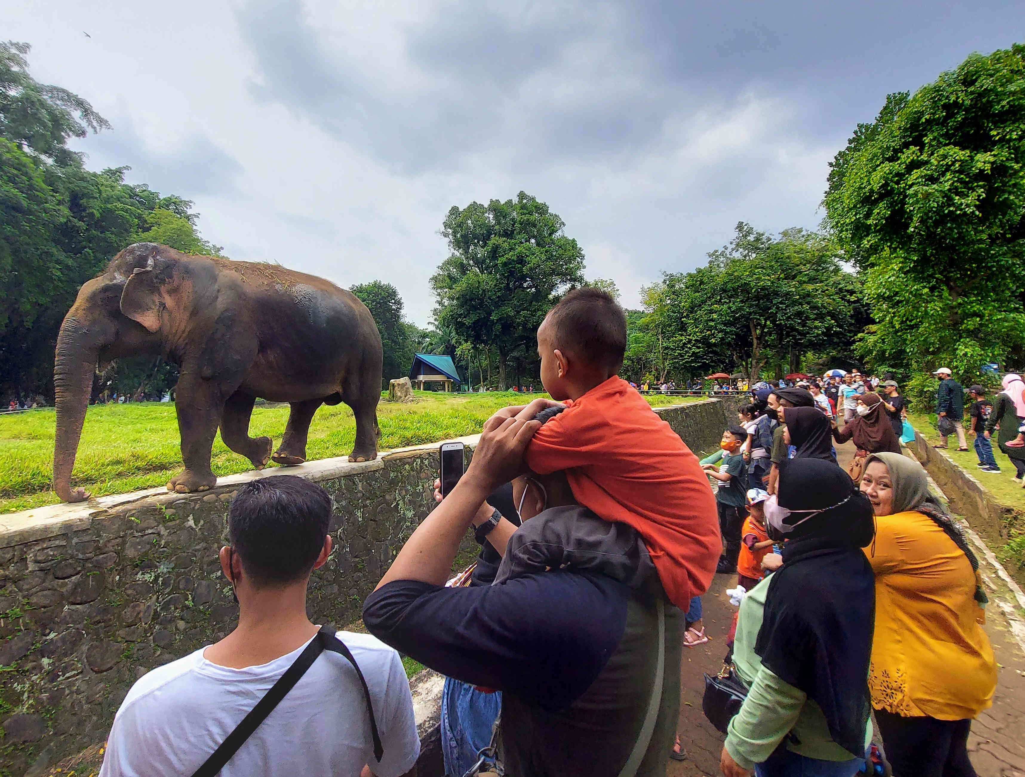 Libur Lebaran ke Ragunan