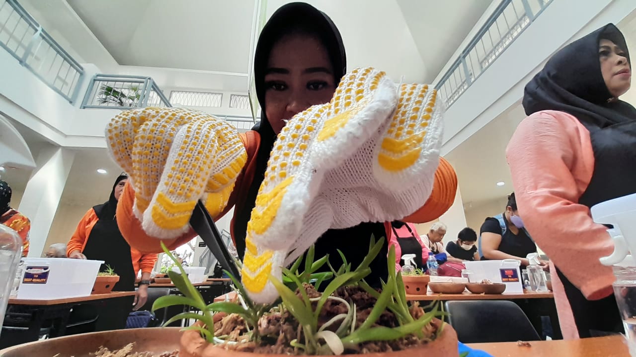 BRIN Meluncurkan Griya Anggrek Wajah Baru di Kebun Raya Bogor