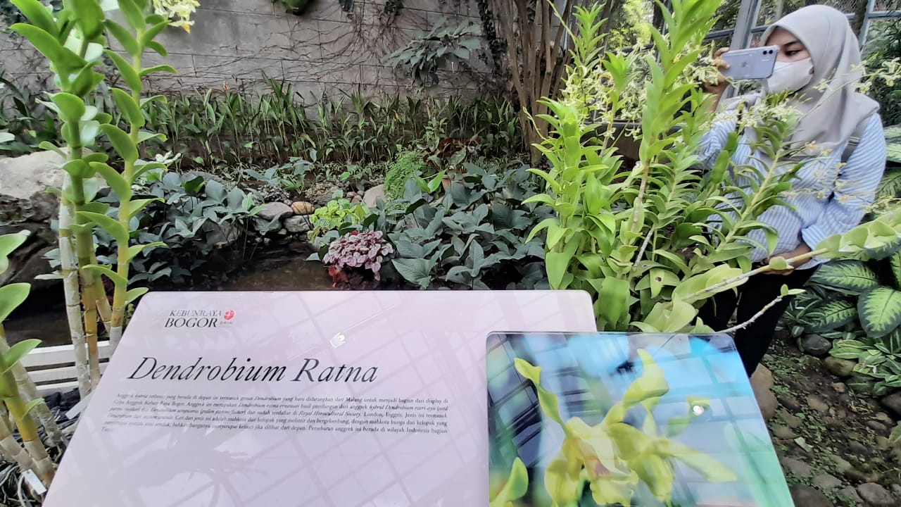 BRIN Meluncurkan Griya Anggrek Wajah Baru di Kebun Raya Bogor