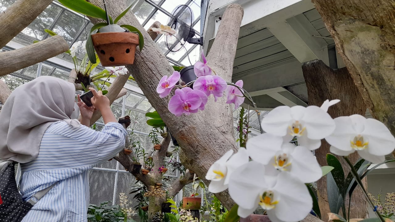 BRIN Meluncurkan Griya Anggrek Wajah Baru di Kebun Raya Bogor