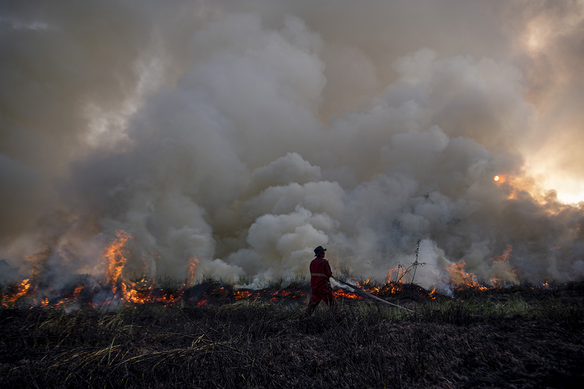 Kebakaran Lahan di Ogan Ilir
