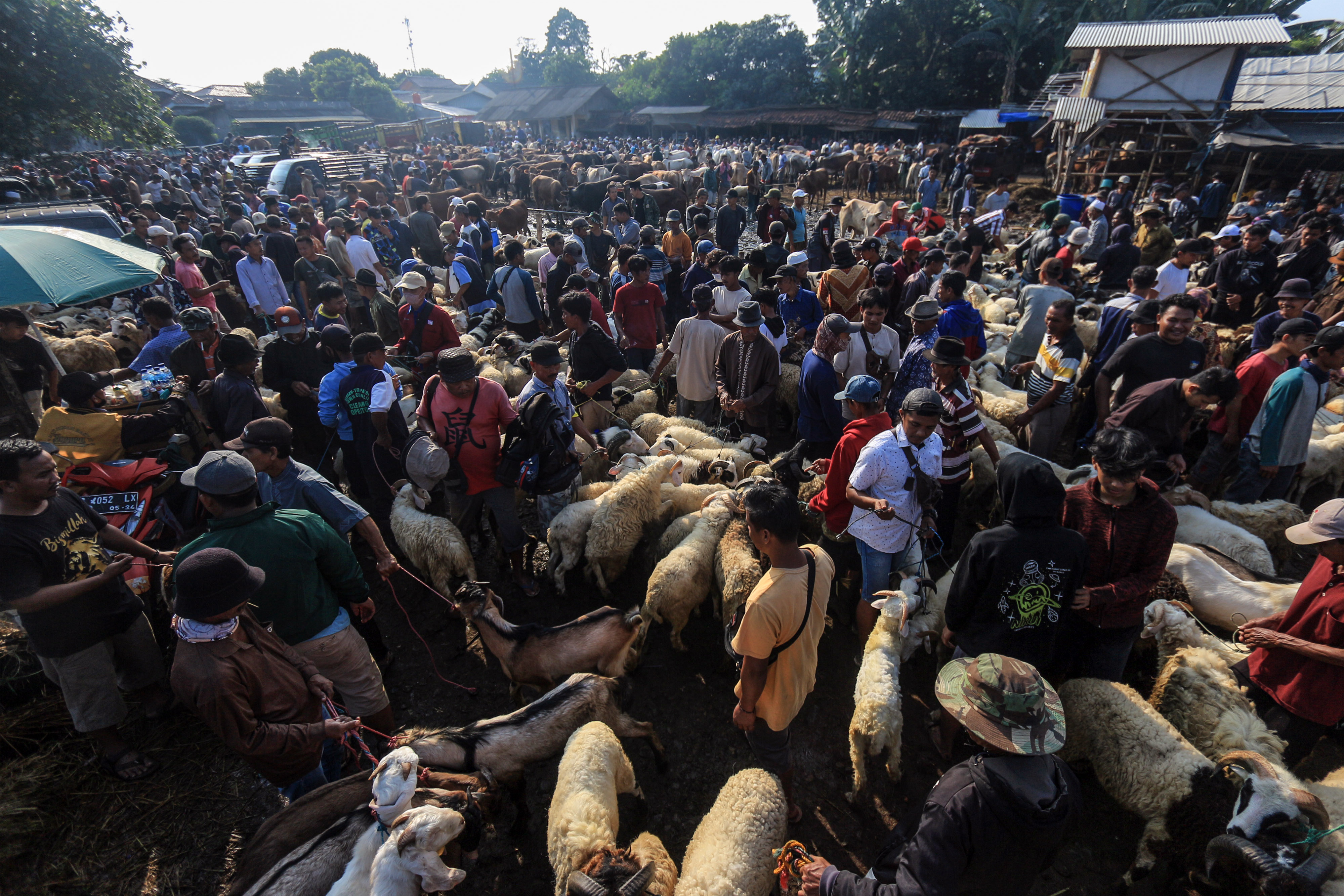 Pasar Hewaan Jonggol Jelang Idul Adha