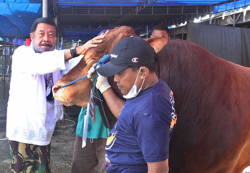 Penyerahan Hewan Kurban Partai NasDem