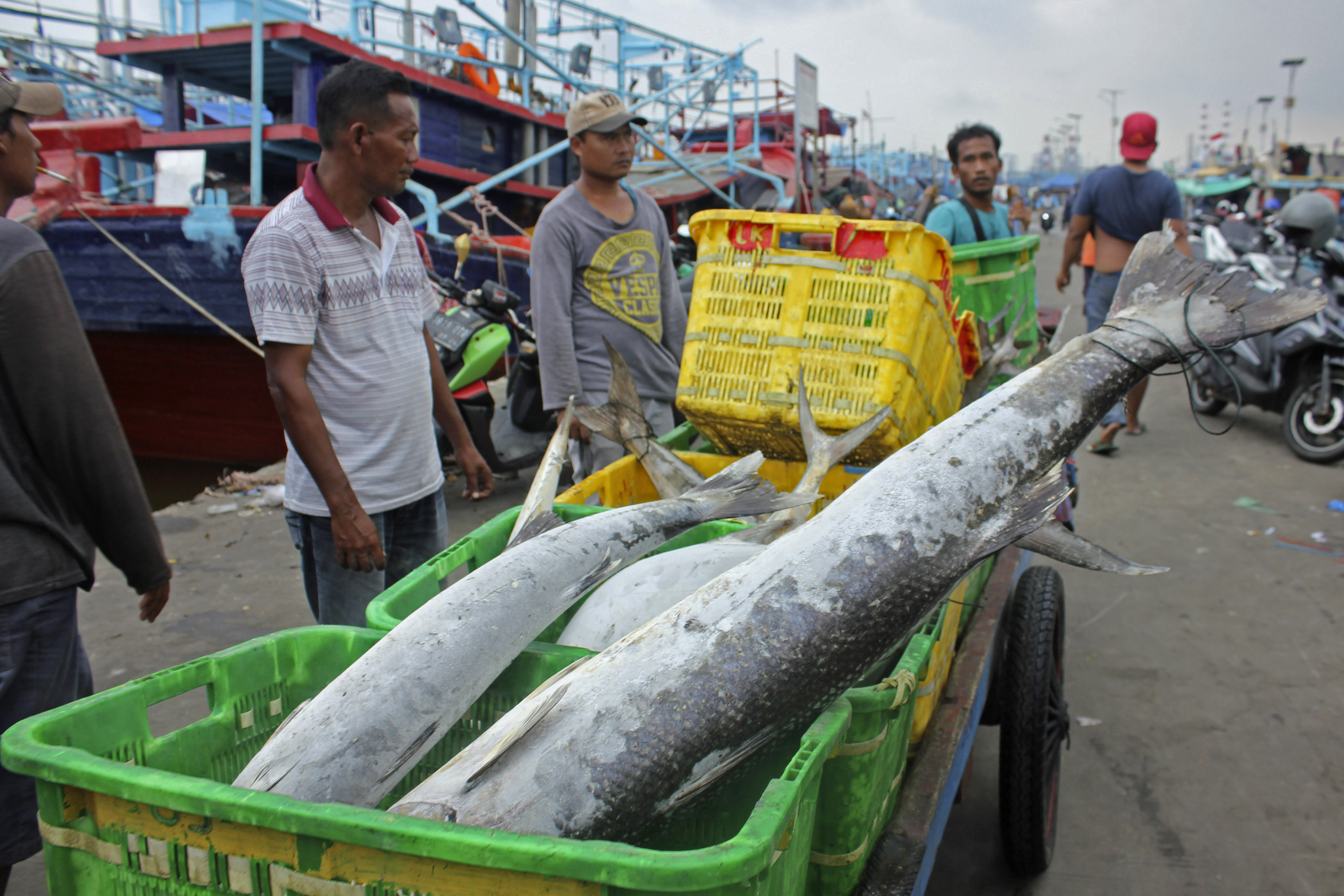 KKP Perluas Akses Ekspor Nelayan Kecil