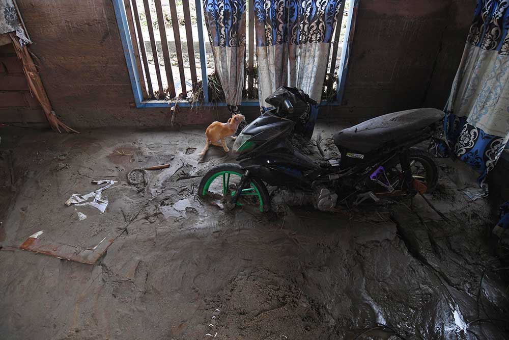 Bencana Banjir Bandang di Parigi Moutong