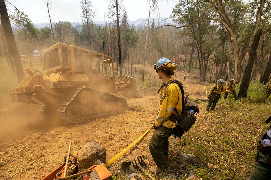 Kerahkan Buldoser Untuk Memutus Oak Fire di Hutan California