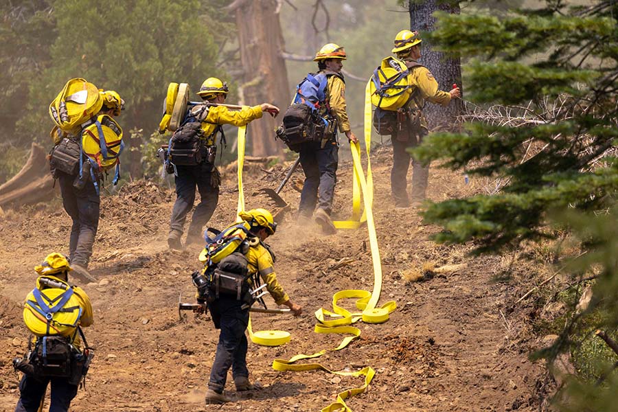 Kerahkan Buldoser Untuk Memutus Oak Fire di Hutan California