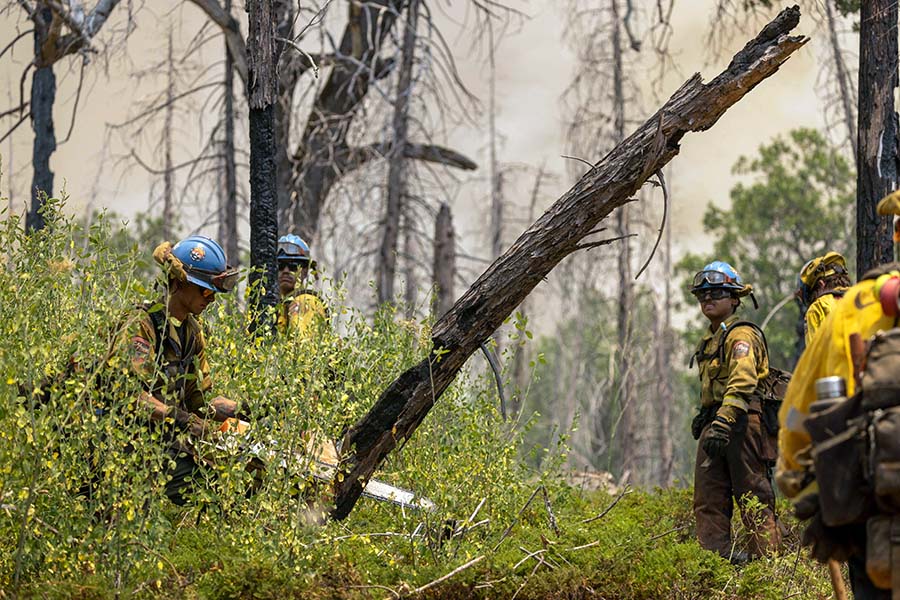Kerahkan Buldoser Untuk Memutus Oak Fire di Hutan California