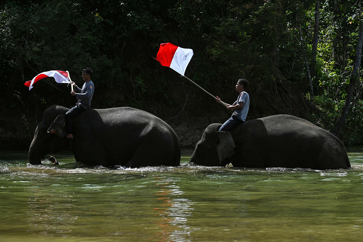 Pengibaran Bendera Merah Putih Bersama Gajah Sumatera
