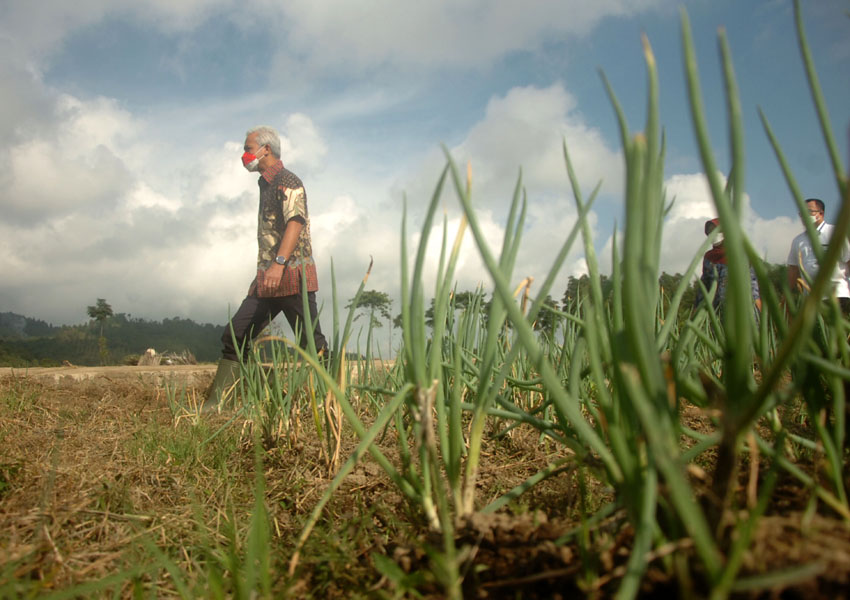 Gerakan Nasional Pengendalian Inflasi Pangan