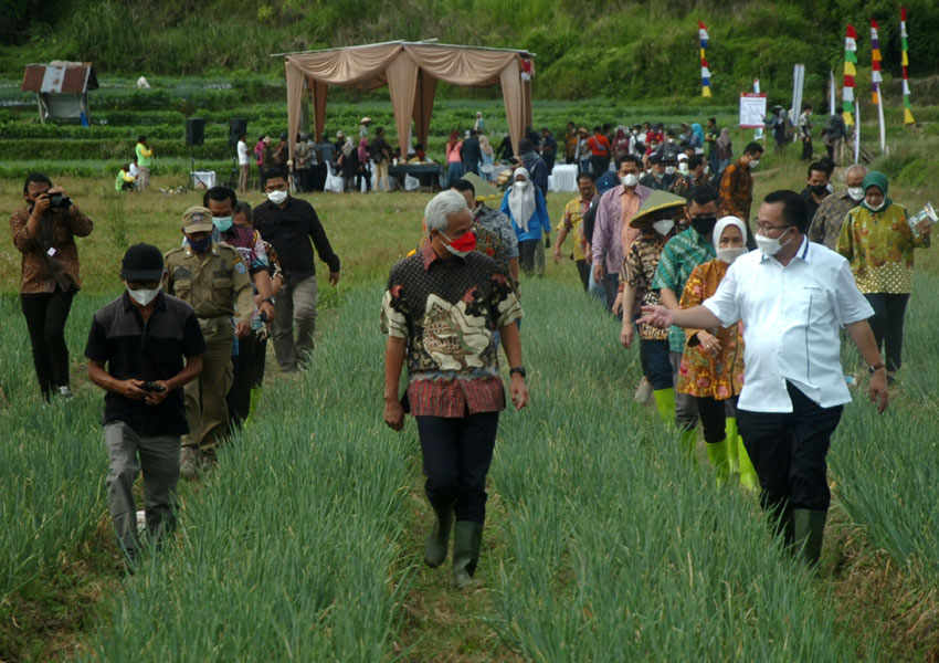 Gerakan Nasional Pengendalian Inflasi Pangan