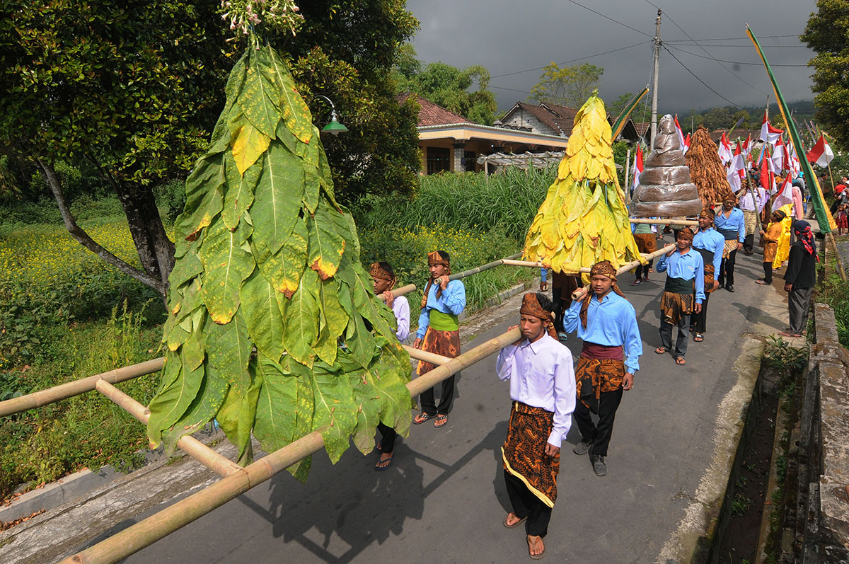 Kirab Gunungan Tembakau dan Bendera Merah Putih