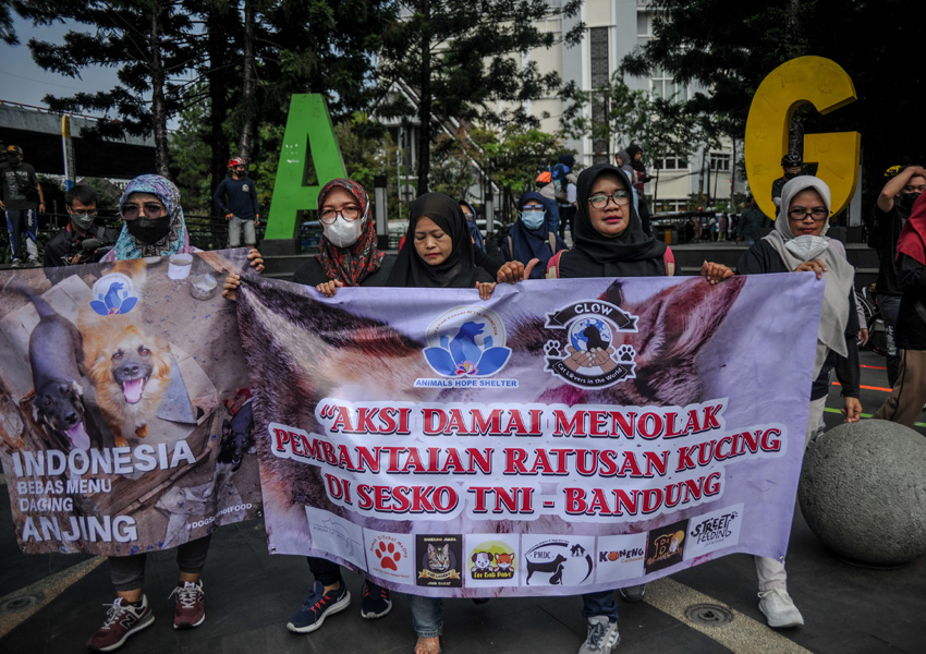 Aksi Damai Tolak Kekerasan Pada Hewan