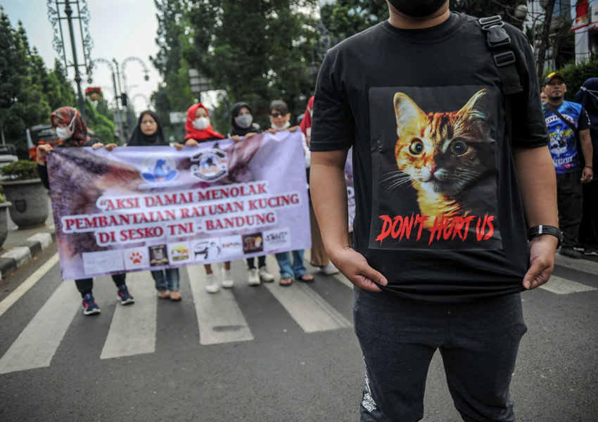 Aksi Damai Tolak Kekerasan Pada Hewan