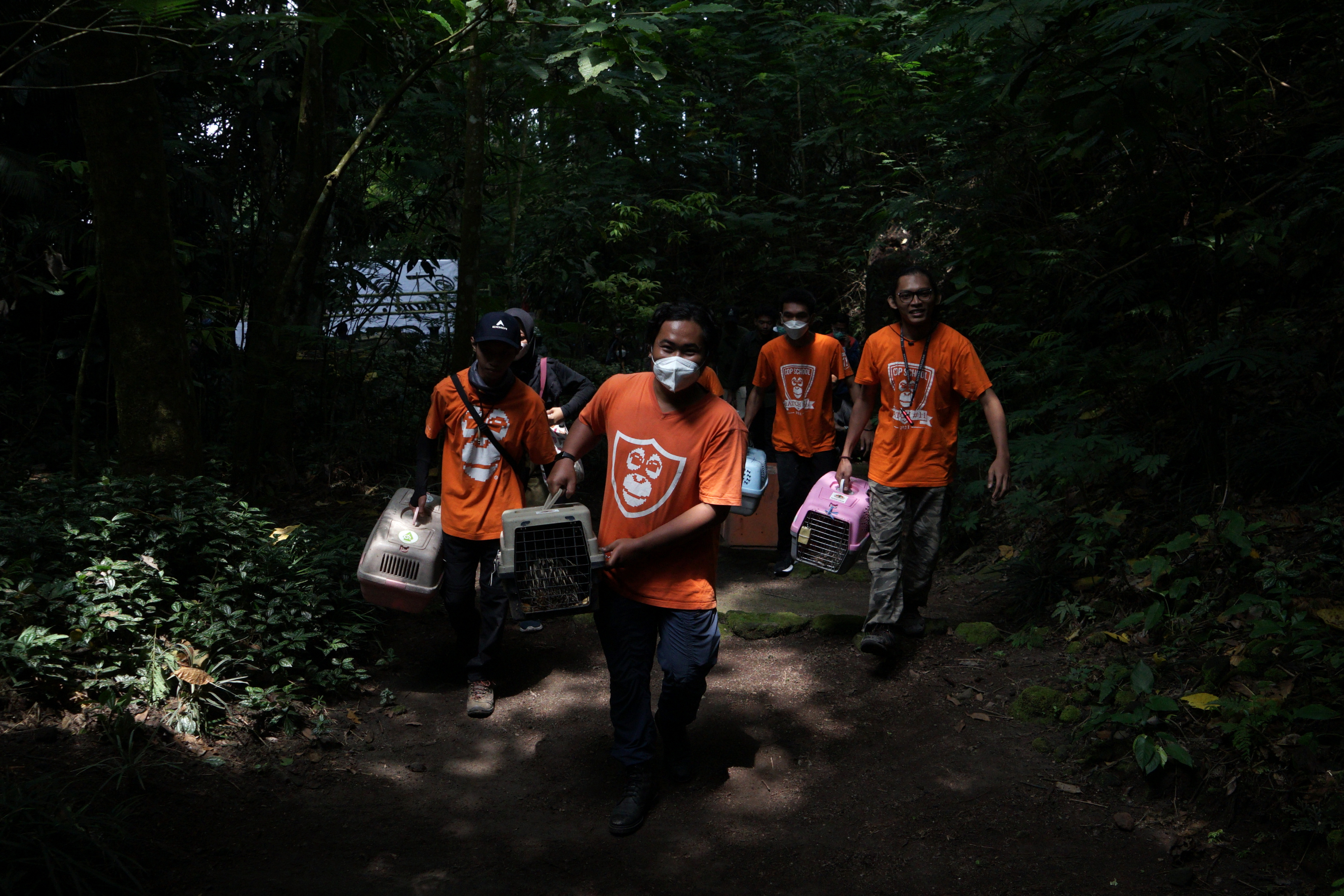 Pelepasliaran Landak Jawa