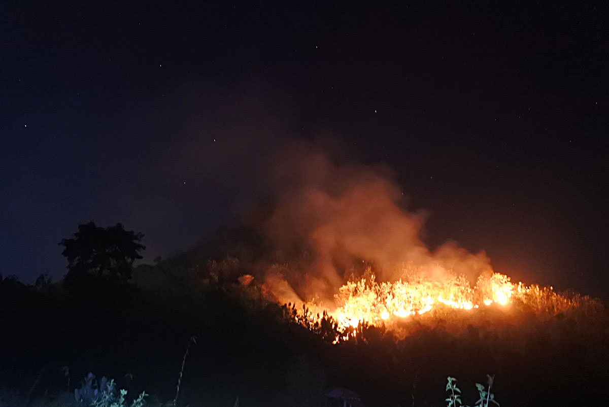 Kebakaran Hutan Perhutani Situbondo