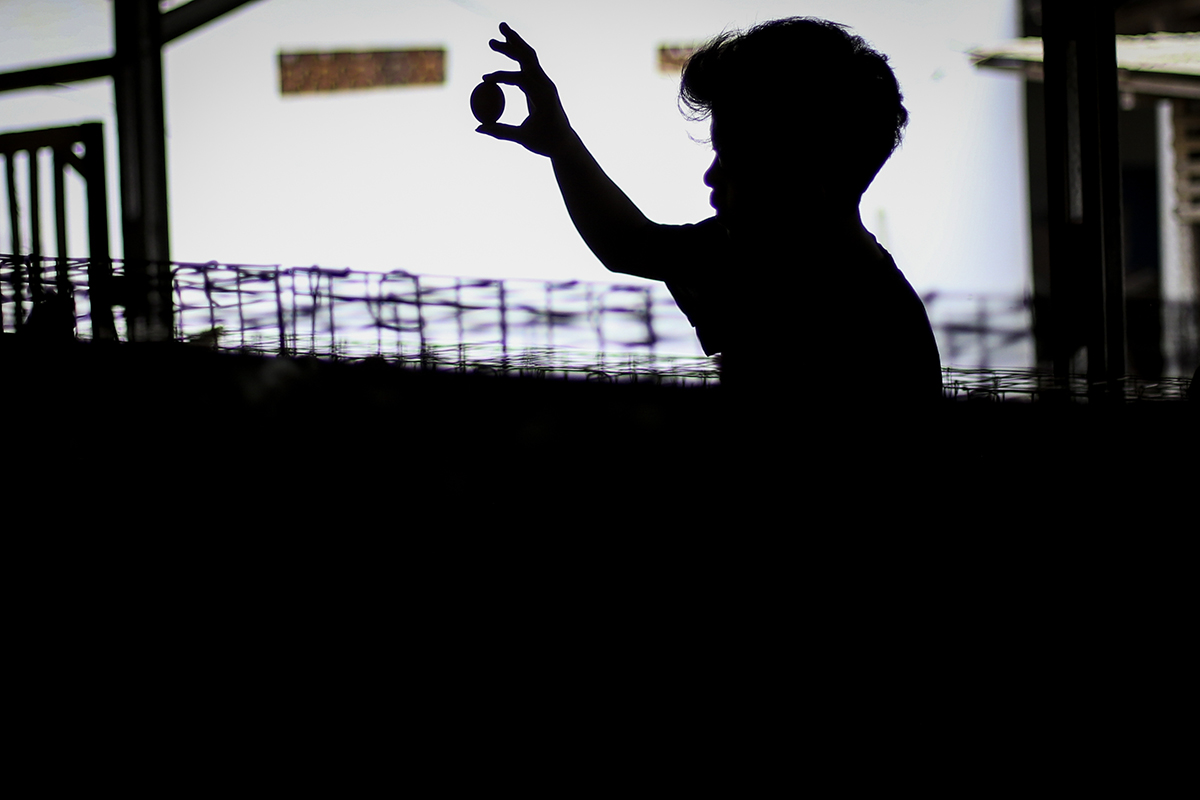 Harga Telur Ayam Naik Tertinggi Sepanjang Sejarah