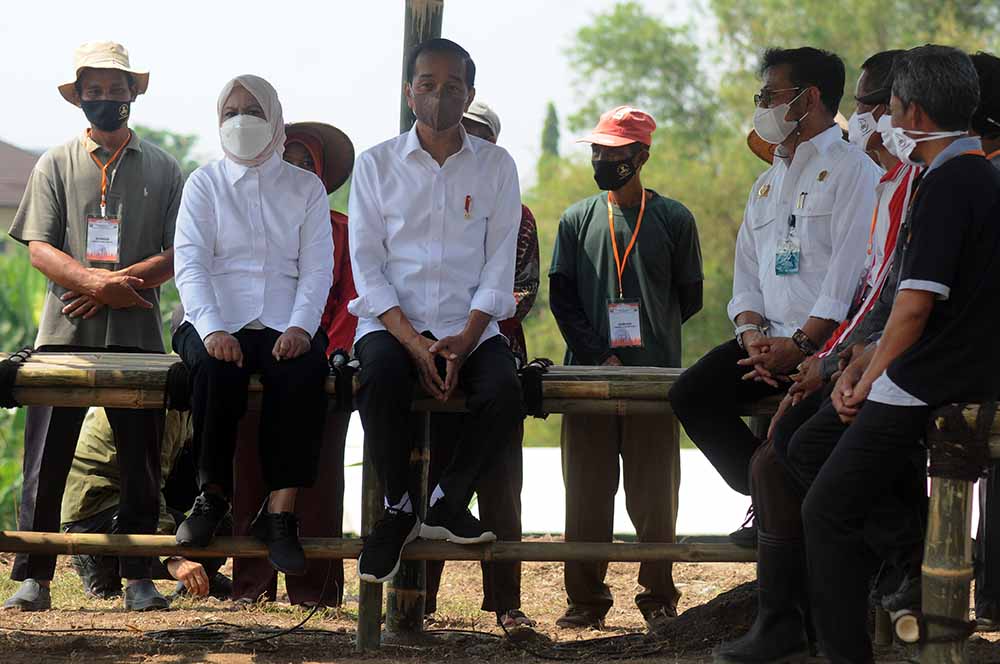 Presiden Joko Widodo Tanam Bibit Kelapa Genjah